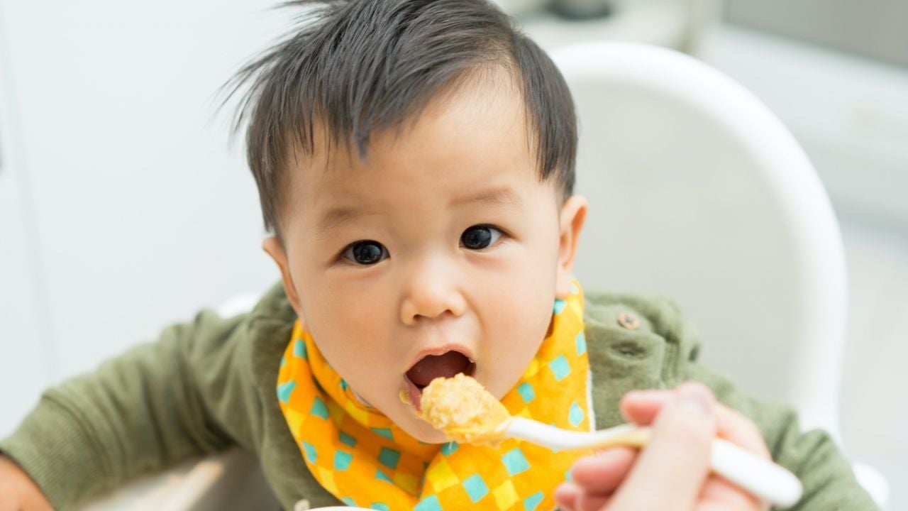 宝宝吃的食物